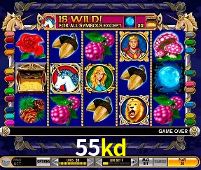 Descubra a Magia dos Jogos de Arcade no 55kd